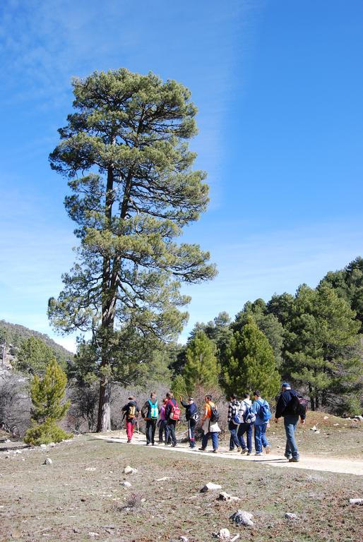 Albergue Inturjoven Cazorla Esterno foto